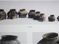 扬州龙虬遗址的“猪形壶”