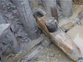 2015浙江考古重要发现“古城、沉船、古墓背后的神秘故事”