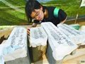 南京栖霞官窑村考古新发现110座明代砖窑