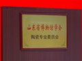 山东省博物馆学会陶瓷专业委员会成立大会暨第一次委员代表大会召开