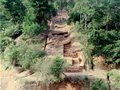 德化尾林窑考古与发掘